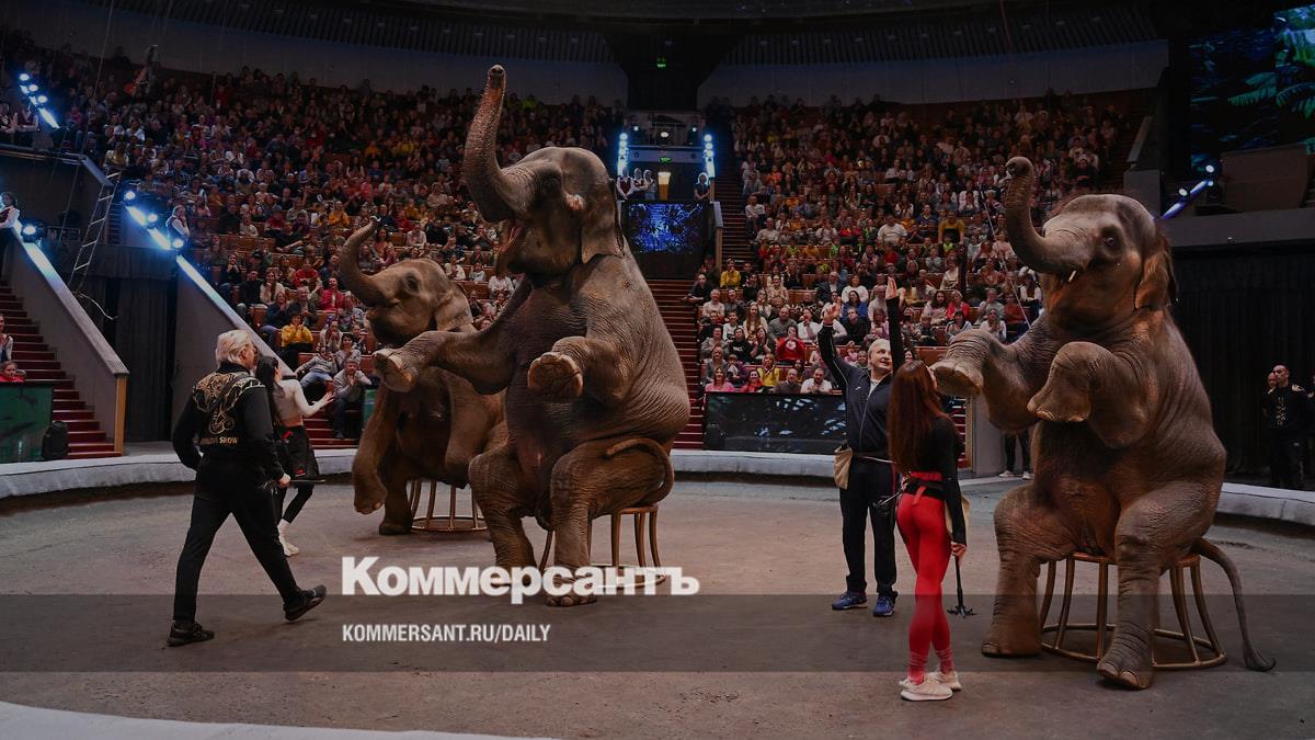 The topic of banning circus animals splits the State Duma