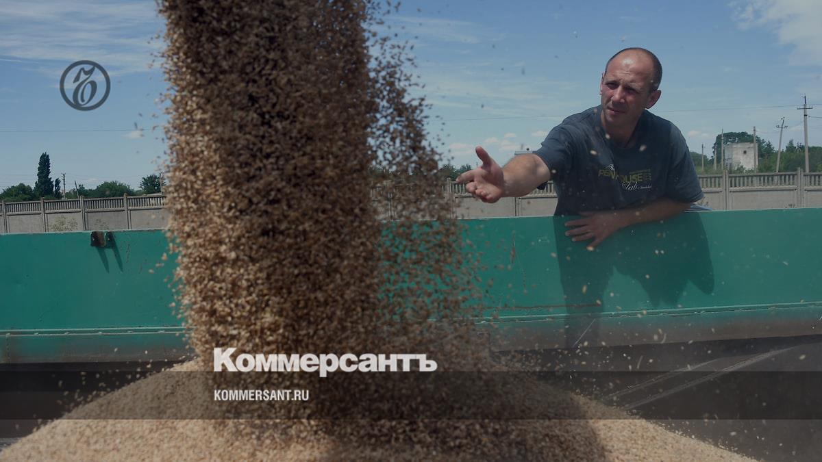 Russia sent the first two ships with free grain to Africa - Kommersant