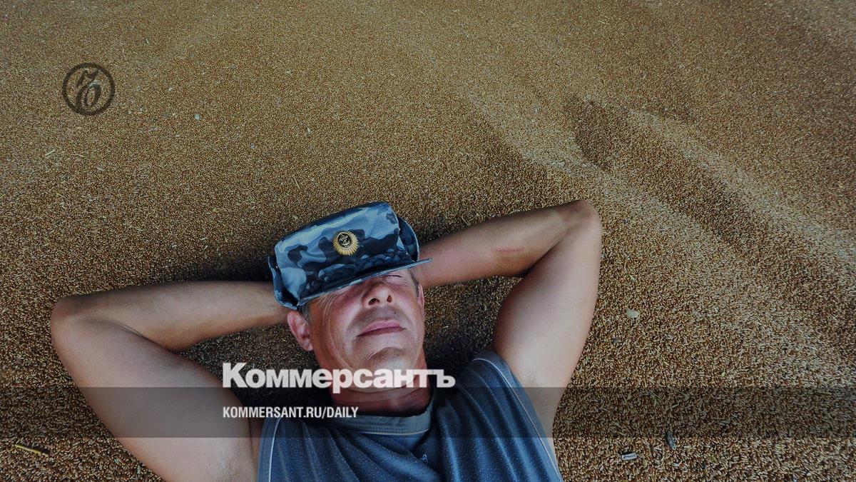 Grain is tired of falling in price - Kommersant