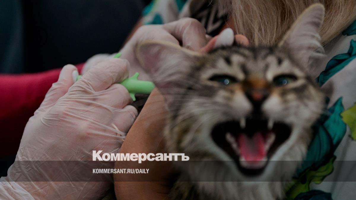 Popular veterinary drugs continue to arrive in Russia through unofficial channels