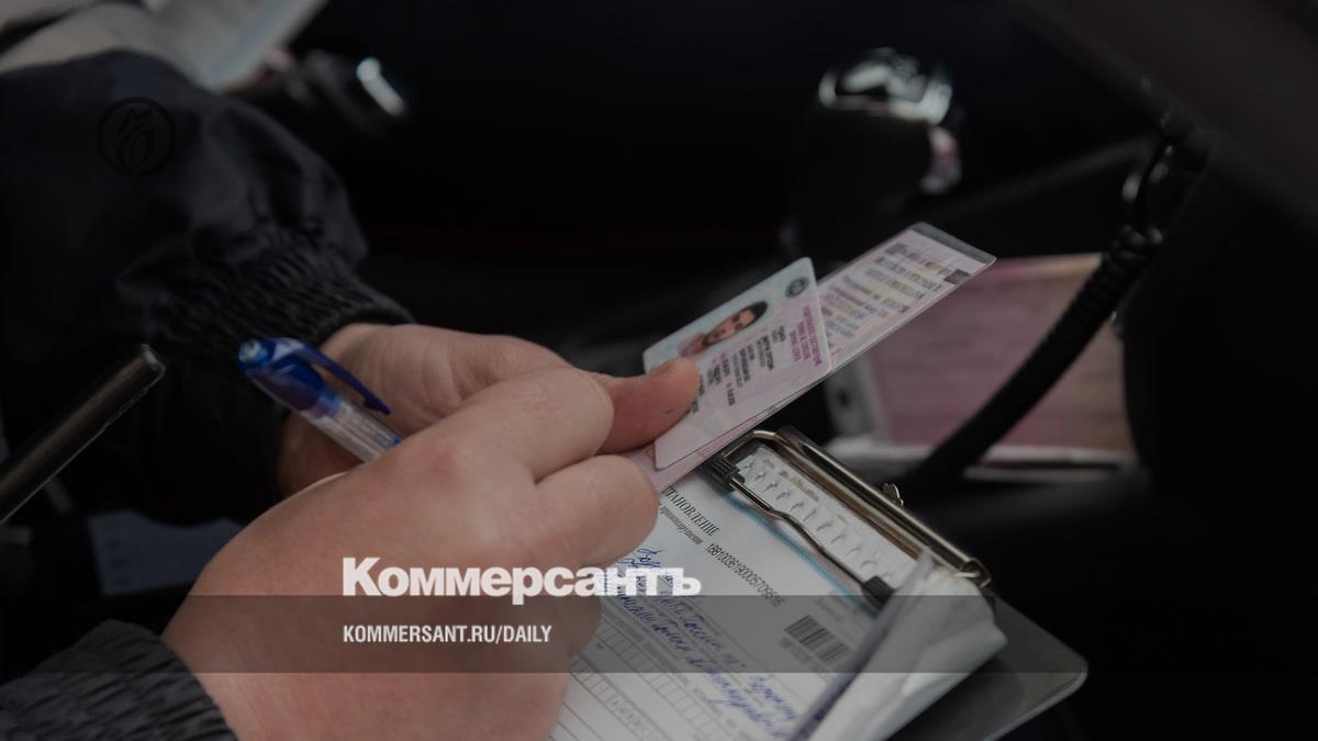 The Federation Council doubted the safety of electronic driver's licenses
