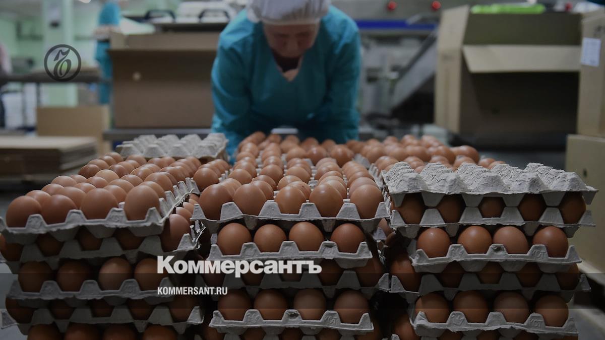 In the Stavropol Territory, egg production increased by almost a third - Kommersant