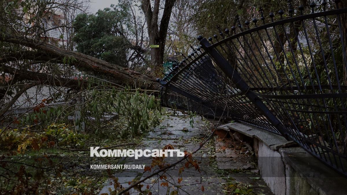 The consequences of the “storm of the century” are being eliminated on the Black Sea coast