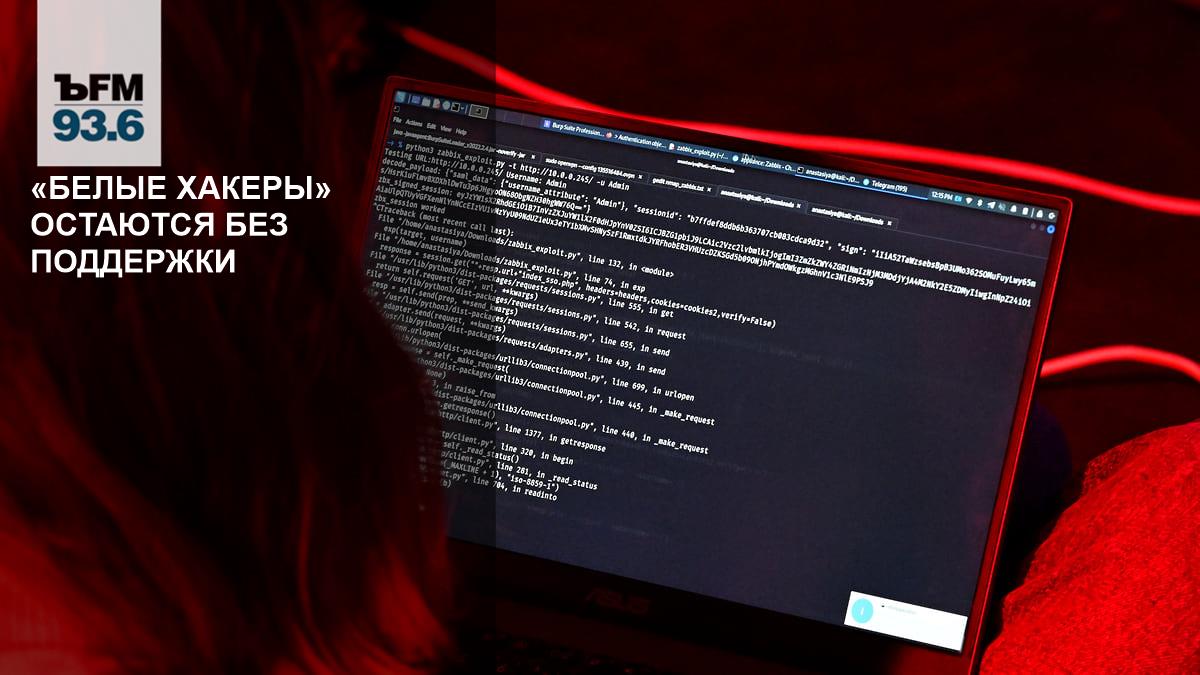 Белые хакеры» остаются без поддержки – Коммерсантъ FM