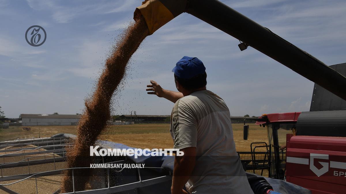 Wheat from the Russian Federation is becoming more expensive on world markets