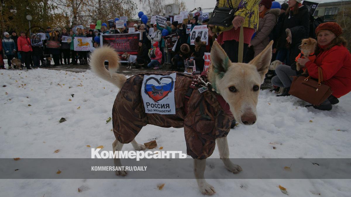 Russia may have an animal protection commissioner
