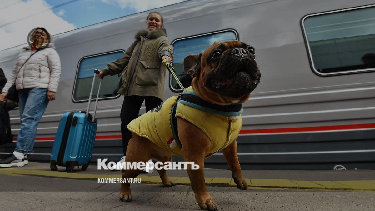 Transporting animals on trains in 2024