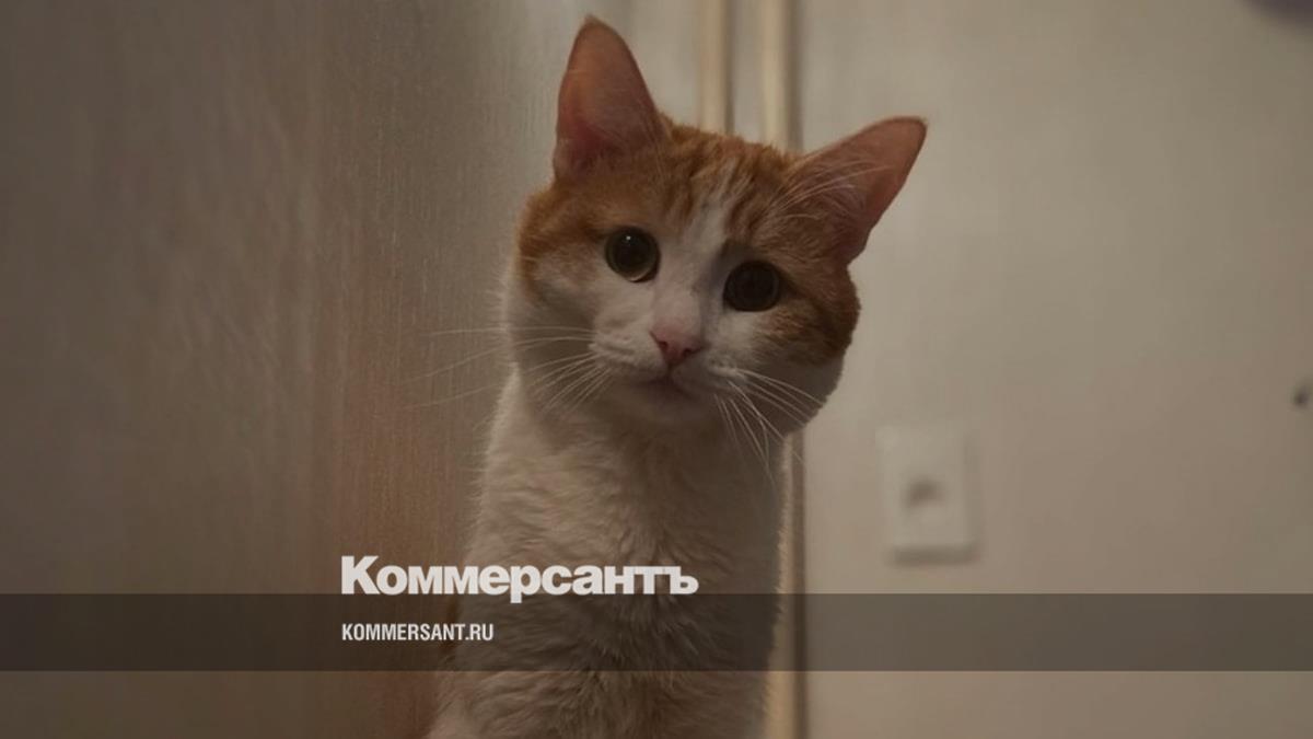 Нищий адресат Нищий адресат