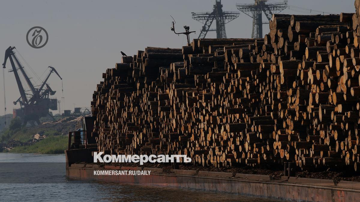 Exports of Russian timber cargo to China at the end of 2023 increased by a quarter