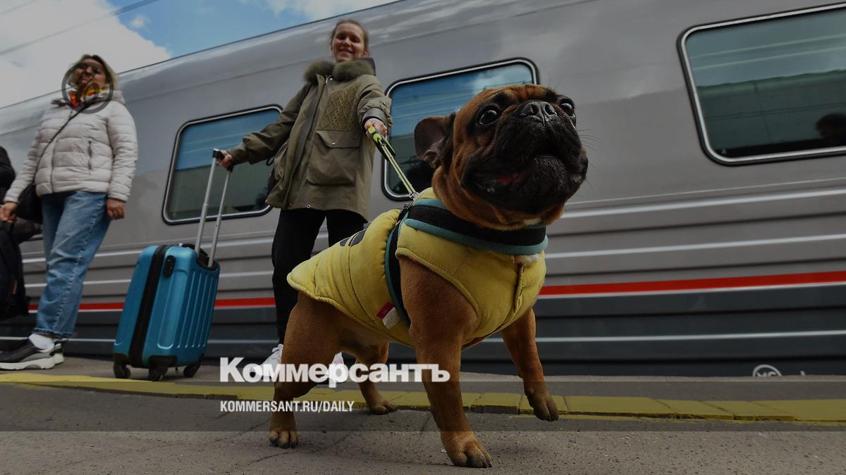 Russian Railways has decided what to do with animals found on trains