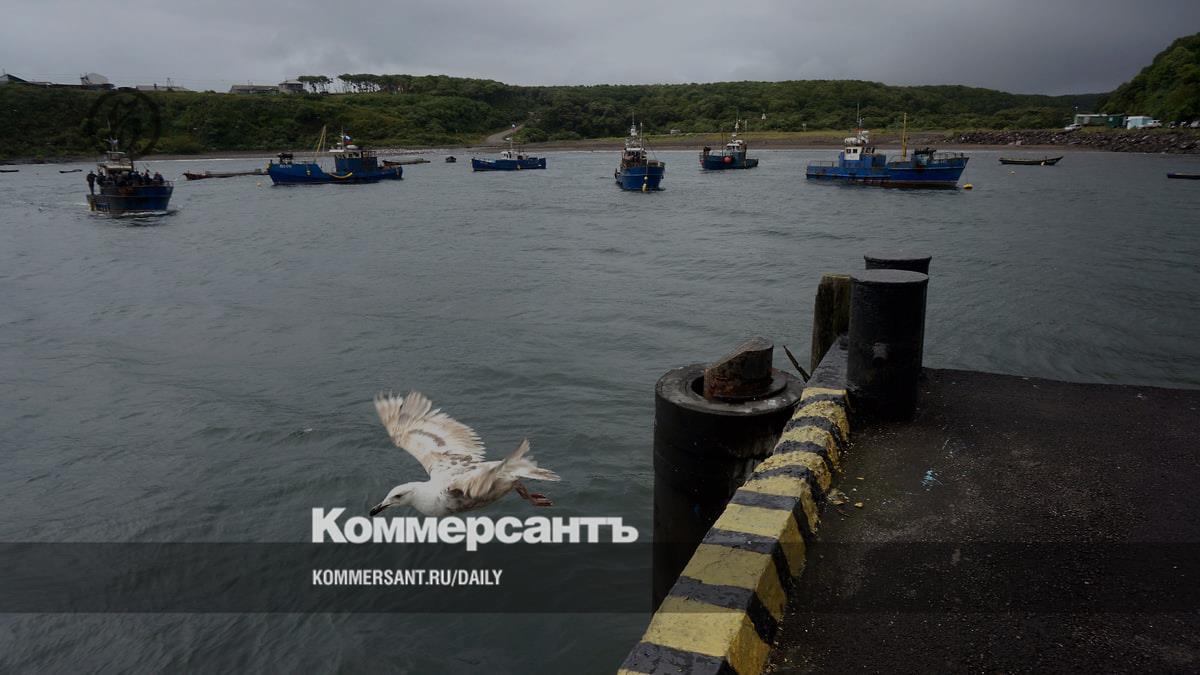 The Ministry of Eastern Development proposes to adjust the preferential regime in the Kuril Islands