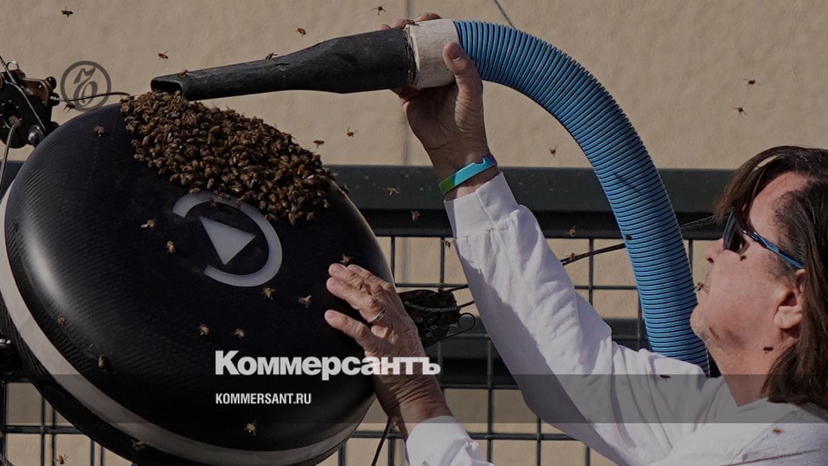 Indian Wells Masters tennis tournament interrupted due to bee infestation - Kommersant