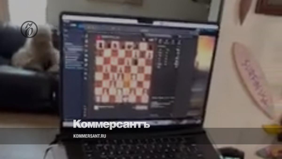 The first patient with the Neuralink neurochip played chess with the power of thought - Kommersant