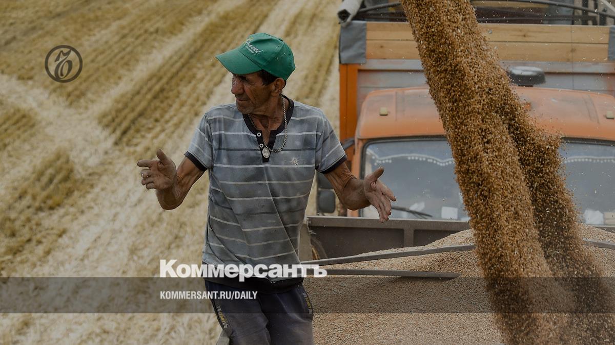 Russian wheat is becoming more expensive on the world market