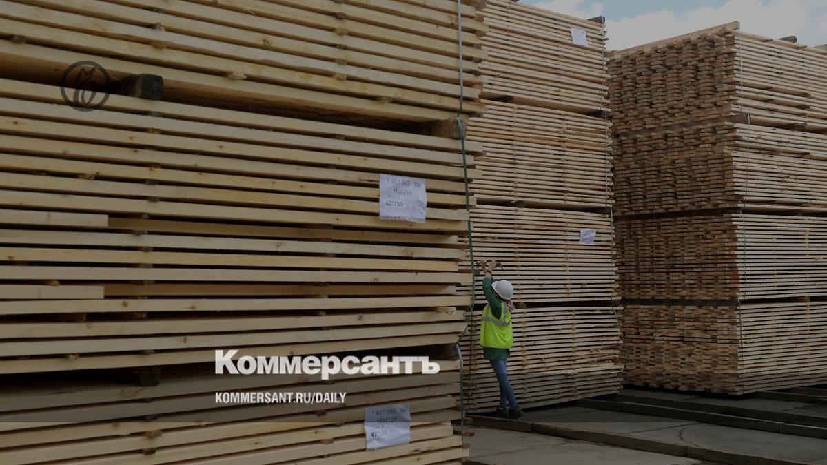 Forestry companies increased investments in processing in 2023