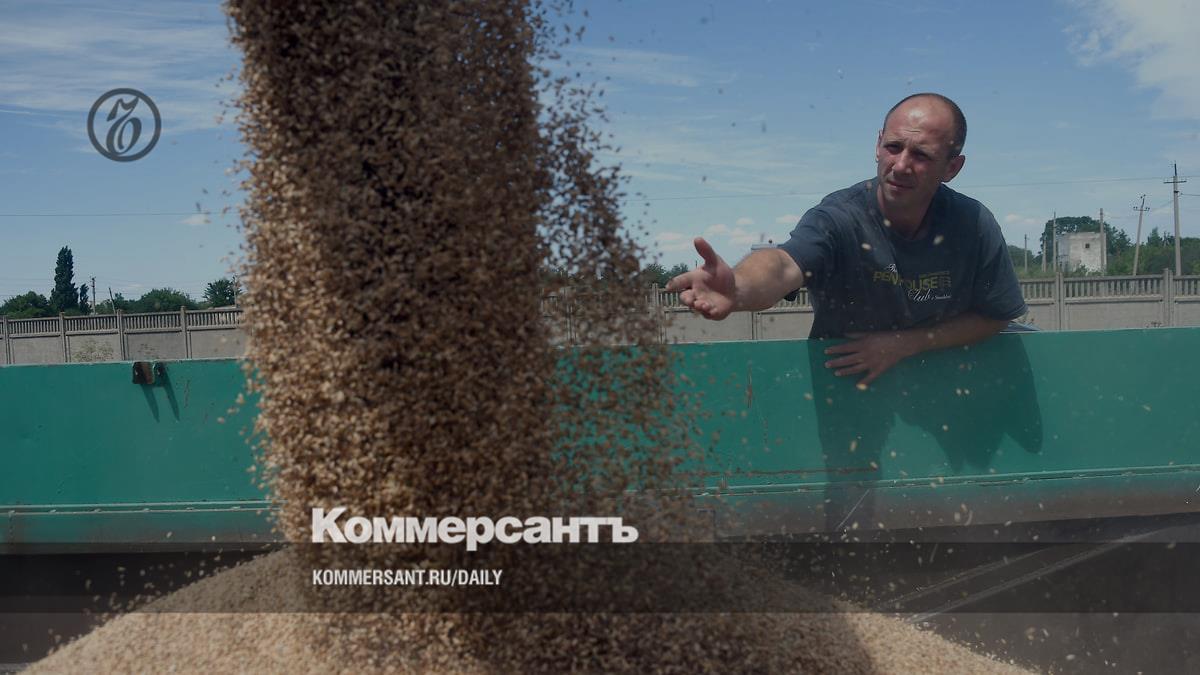 The owner of the grain exporter “Delivery by Sea” received the share of the international trader Viterra who left the Russian Federation
