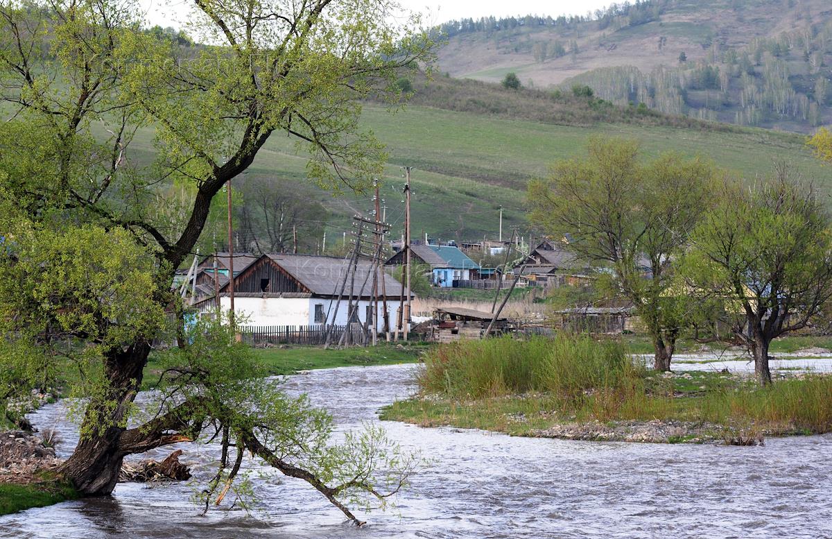 Погода в алтайском крае село алтайское. Село Алтайское 2000. Лучшее село Алтайского края. Духовое деревня Алтайский. Село глубокое Алтайский край.