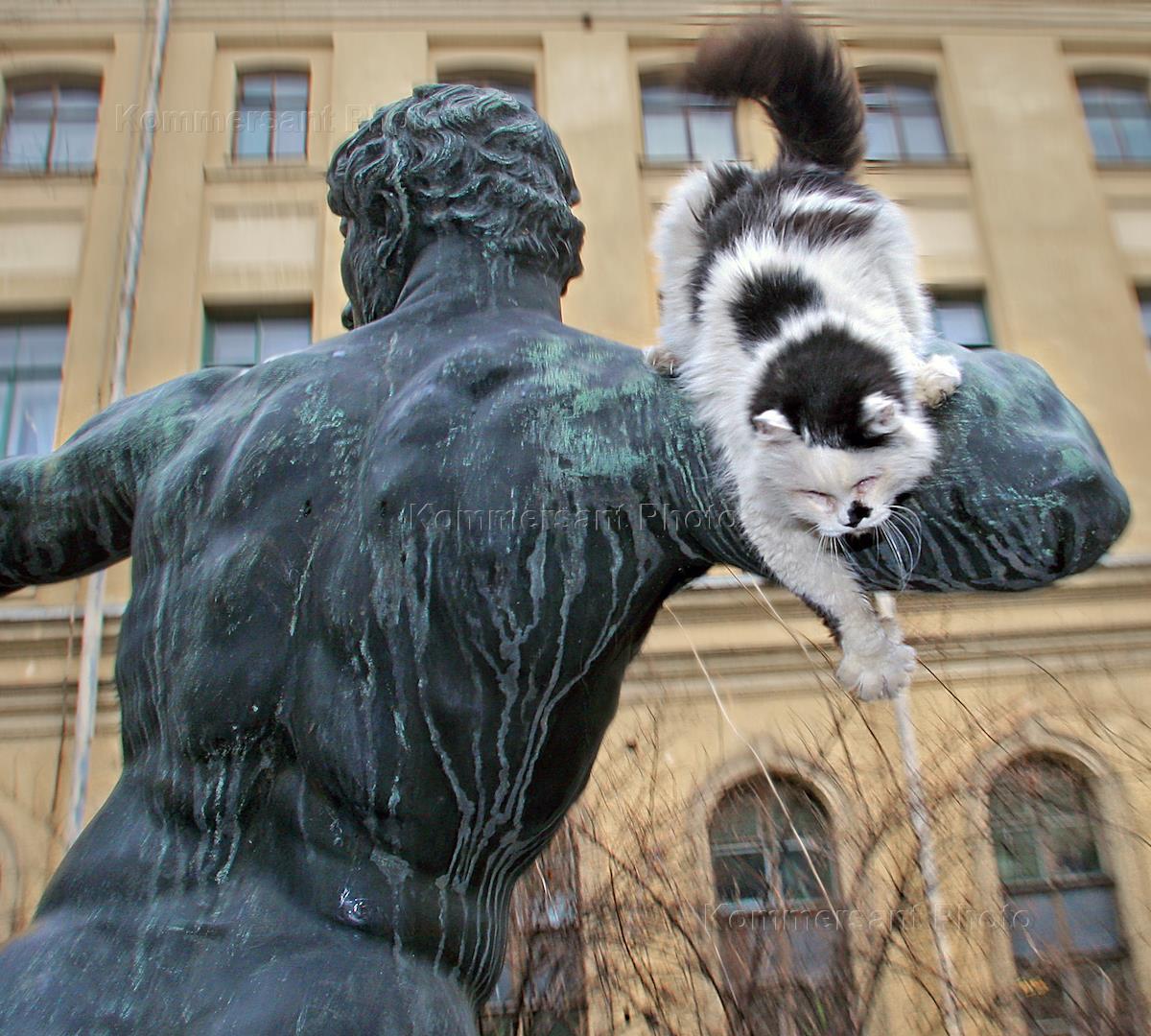 Кошки петербурга. Питерские коты Эрмитажа. Памятник кошке в Санкт-Петербурге Эрмитаж. Статую кошек в Эрмитаже. Коты на улицах Питера..