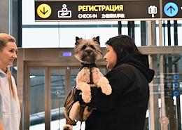 Charity event 'Prepare a friend for the flight' at the Domodedovo airport.