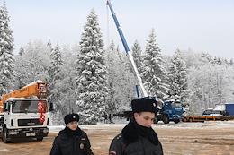 The felling of the country's main New Year tree, which will decorate the Cathedral Square of the Kremlin.