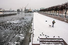 Views of St. Petersburg.