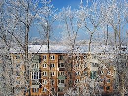 Views of winter Omsk.