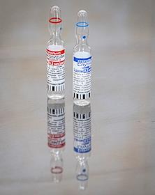 Genre photos. Components for vaccination.