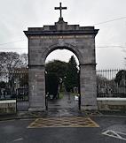 Виды Дублина.