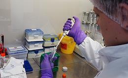 Development and preparation for the production of a vaccine against coronavirus 'Konvasel' at the Research Institute of Vaccines and Serums.