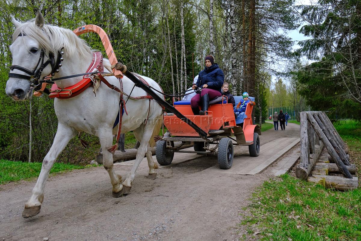 Туристический центр Мандроги