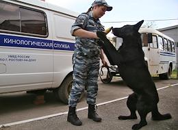 Training sessions at the Canine Service Center of the Department of the Ministry of Internal Affairs of Russia for the city of Rostov-on-Don.