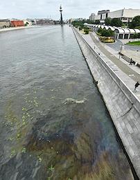 A slick of oil products with an area of ​​about 4.5 thousand square meters was noticed on the Moskva River near the Krymsky Bridge.