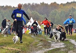 Race with dogs - cross 'Fast dog' in the park 'Bitsevsky forest'.