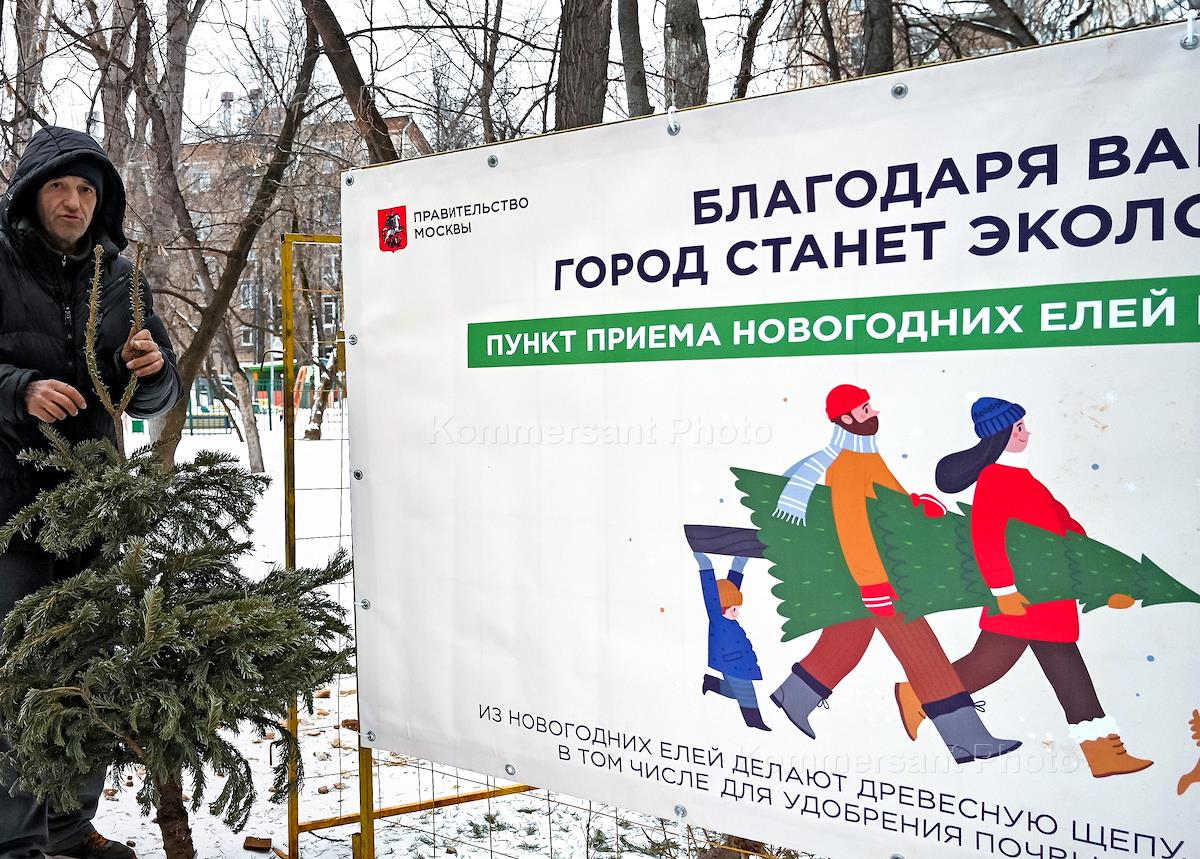 Пункты приема елок в санкт петербурге. Елки палки и щепа 2022. Пункты приема елок в санкт петербурге. Елка в питере 2023. Пункты елок в спб.