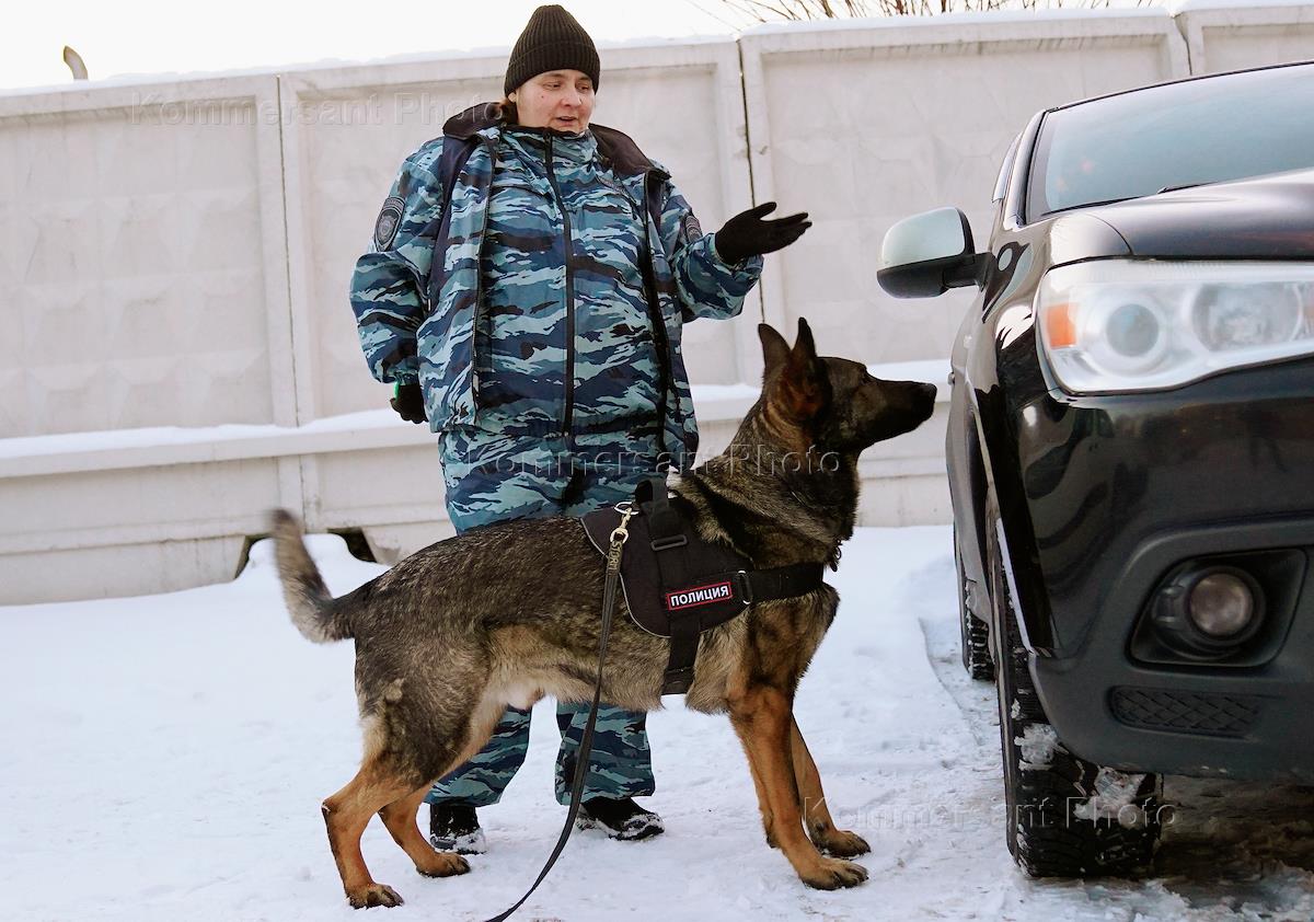 План работы кинологической службы на один год