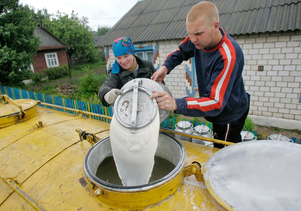 Сдать молоко. Сдача молока. Слив молока. Сдают молоко на молокозавод. Слили молоко.