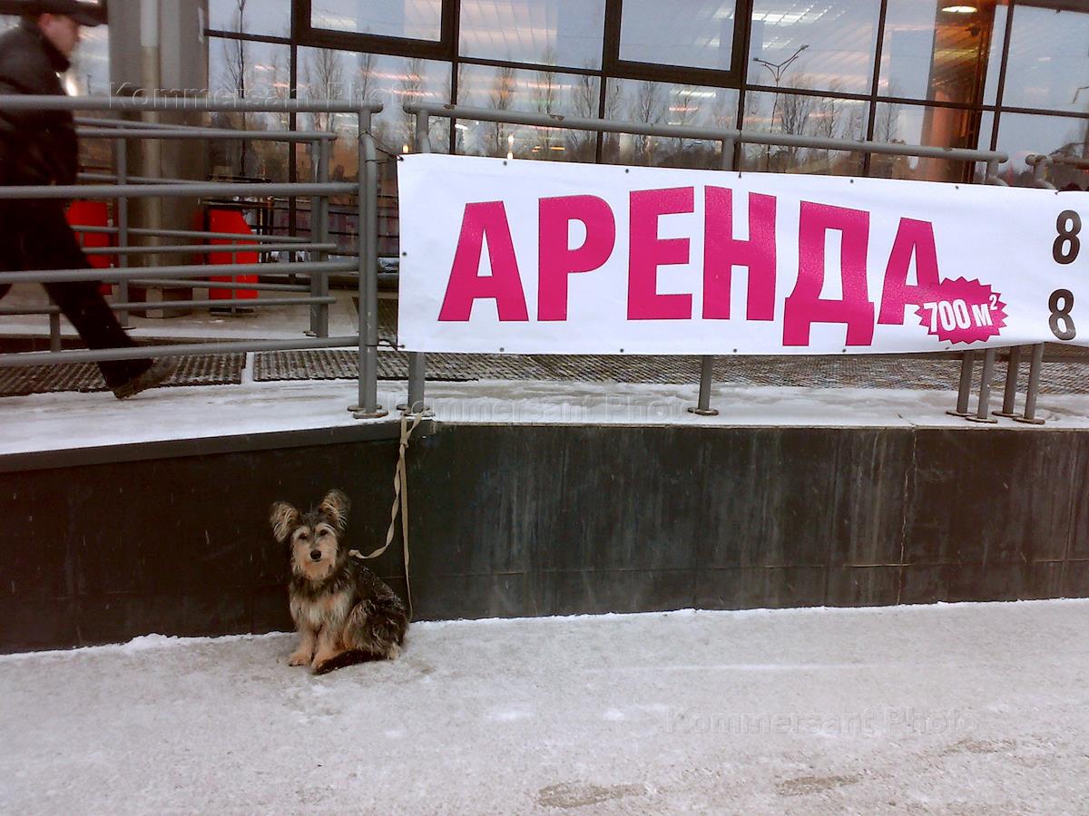 Будет ли дорожать аренда