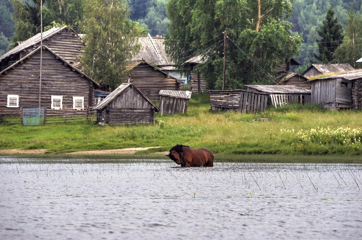 В некоторых деревнях. Процветающая деревня. Американские деревни и российские деревни. Польская глухая деревня. Супер деревня.