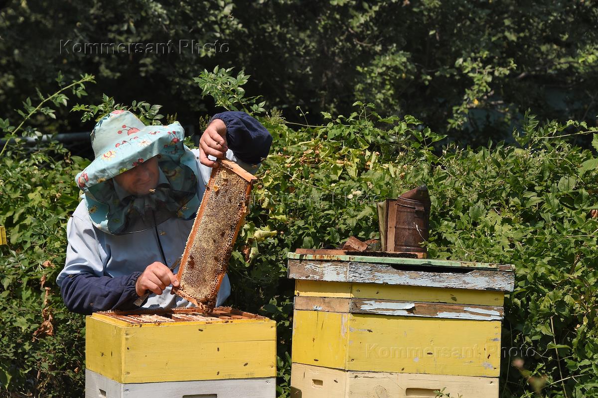 Всемирный день пчел. Лавка пчеловода. Потомственный пчеловод. Защита пчеловода. Пчеловод 20.