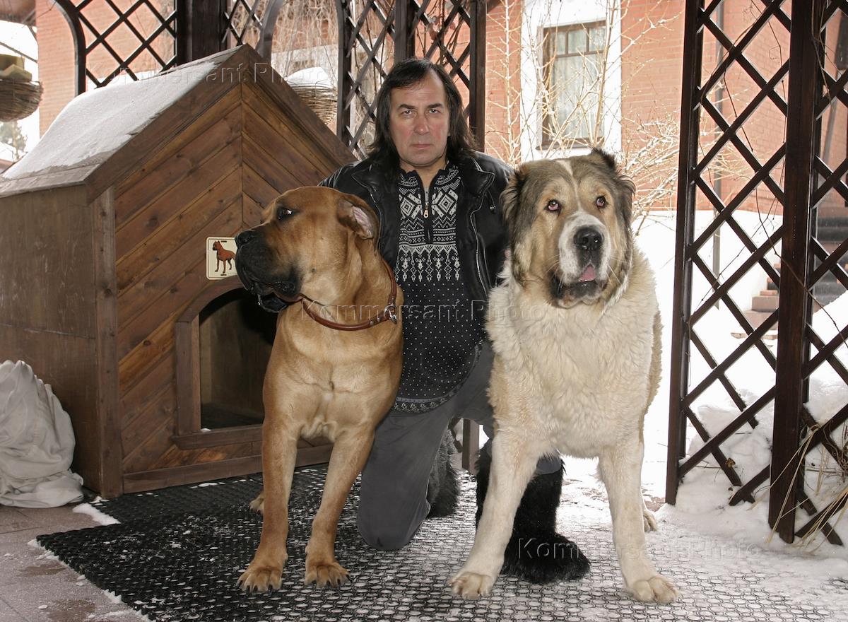 Александр иншаков. Президент ркф иншаков александр иванович. Иншаков ркф. Президент ркф иншаков александр иванович. Александр иншаков собаки.